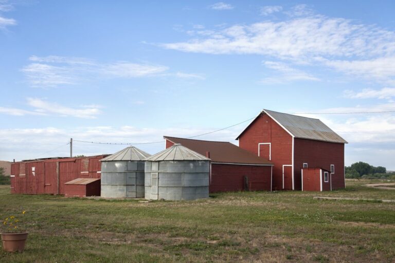 Gabriele Woolever Hist VonTrotha 5549 1 768x512