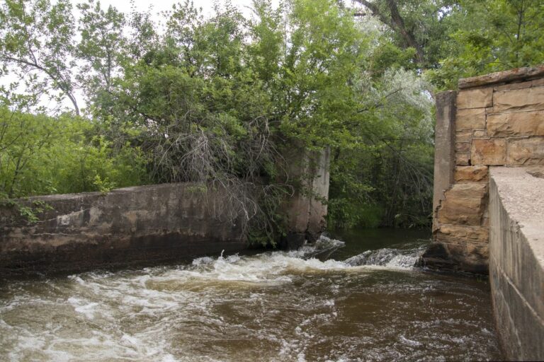 Gabriele Woolever Historic WaterWorks Fixed IMG 0556 1 1 1 768x512