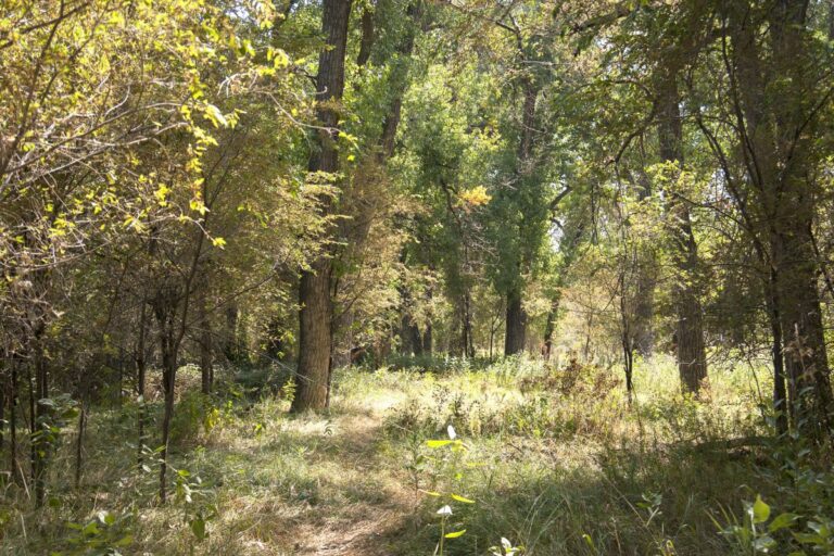 Gabriele Woolever Rec FrankStateW 4056 1 768x512