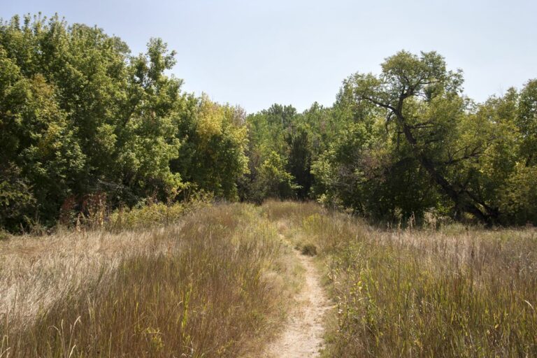 Gabriele Woolever Rec FrankStateW 4062 1 768x512