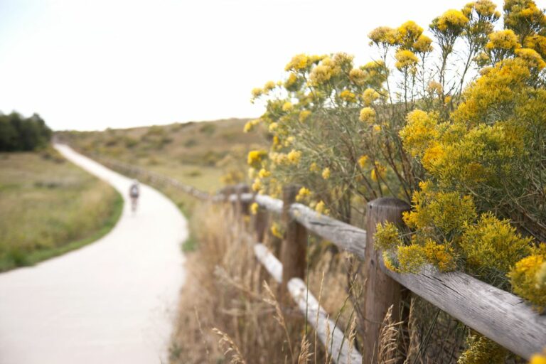 Gabriele Woolever Rec FrankStateW 5914 1 768x512