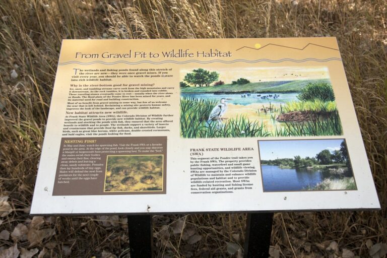 Gabriele Woolever Rec FrankStateW 5949 1 768x512