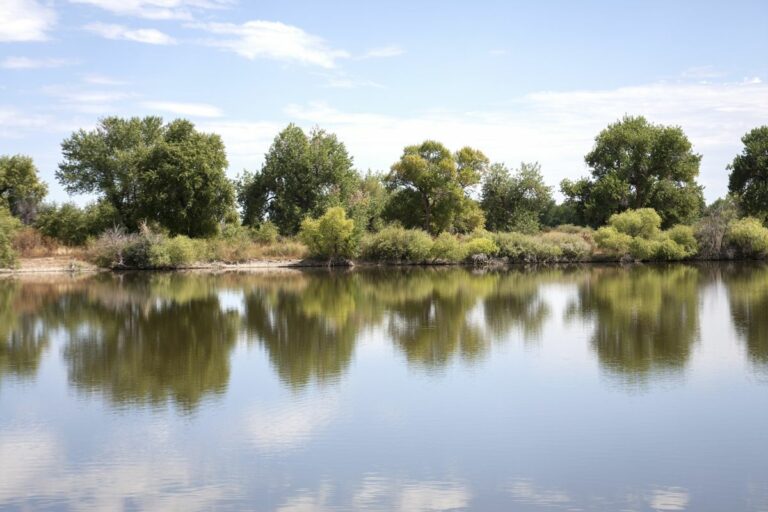 Gabriele Woolever Rec FrankStateW 5959 2 768x512