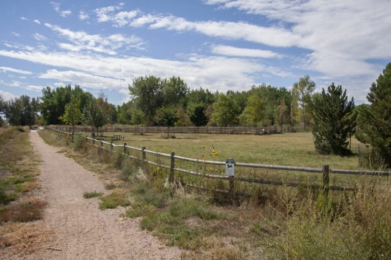 Gabriele Woolever Rec PoochPark 5782 1 768x512