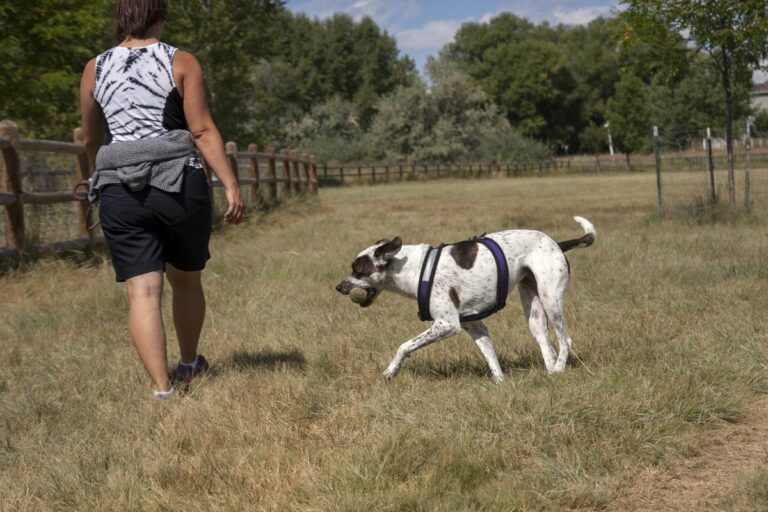 Gabriele Woolever Rec PoochPark 5791 1 768x512