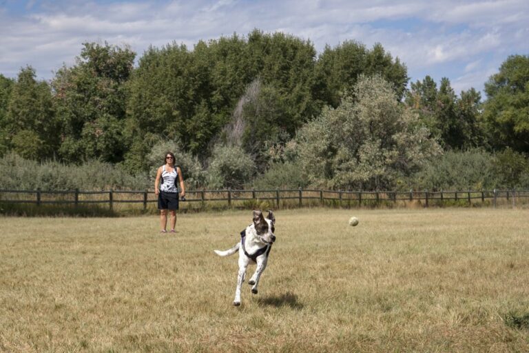 Gabriele Woolever Rec PoochPark 5811 1 768x512