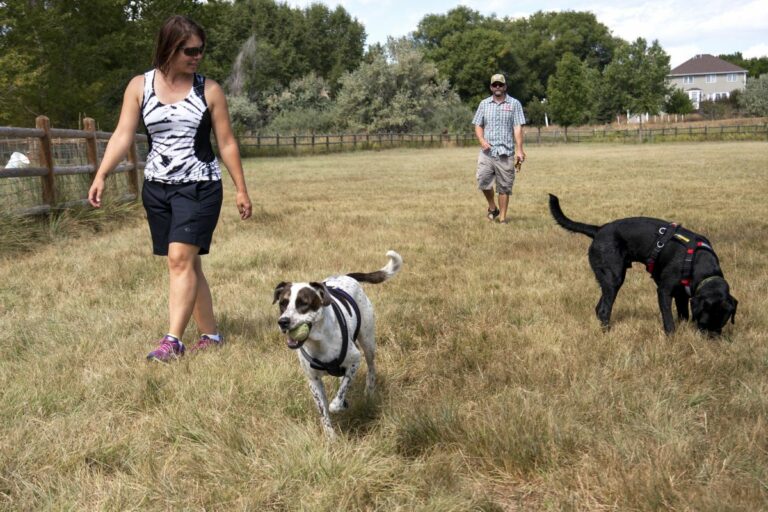 Gabriele Woolever Rec PoochPark 5870 1 768x512