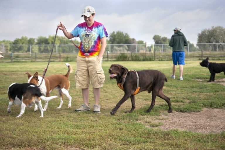 Gabriele Woolever Rec RoverRun 5351 1 768x512