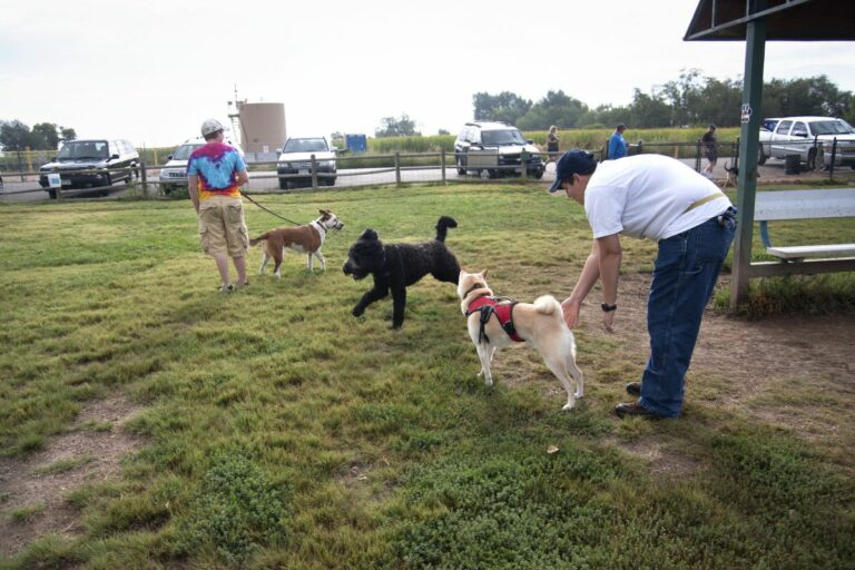 Gabriele Woolever Rec RoverRun 5420 1 1 768x512