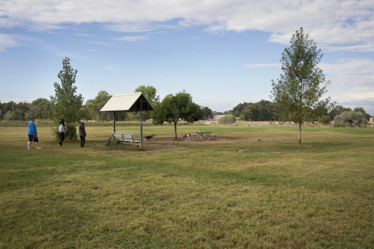 Gabriele Woolever Rec RoverRun 5479 1 1 768x512