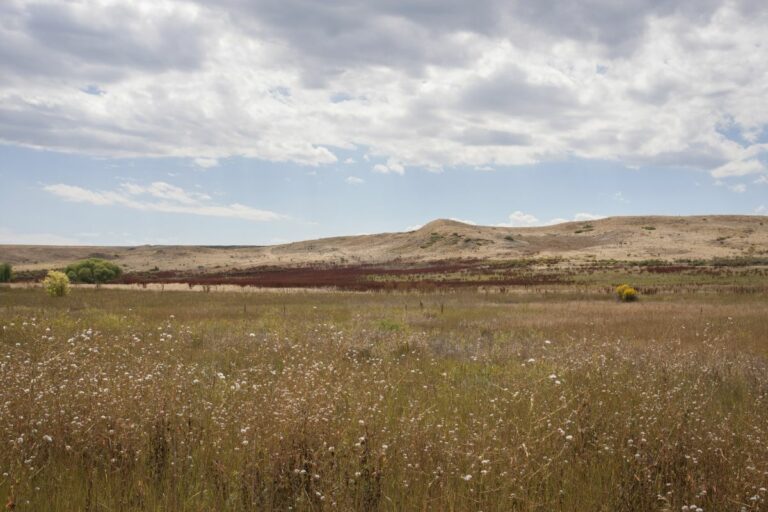 Gabriele Woolever Scenic FrankStateW 5938 1 768x512