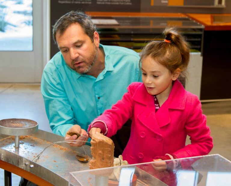 IMG 8374 1 1 768x620