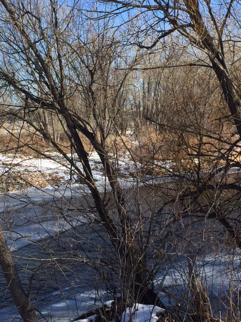 Josh Ames remains of ditch 1