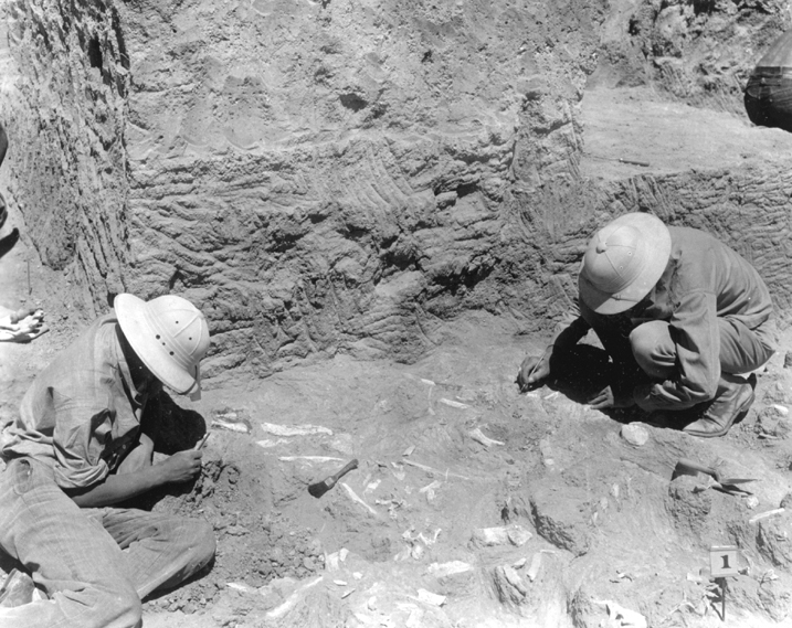Lindenmeier excavation source North Forty News 2