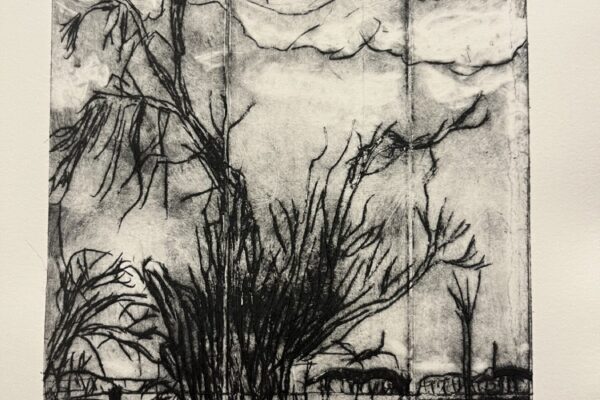 By Liz Ortiz | Tetra Pak Intaglio in black oil on cotton fiber paper