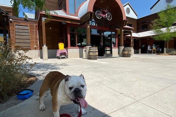 New Belgium Brewery