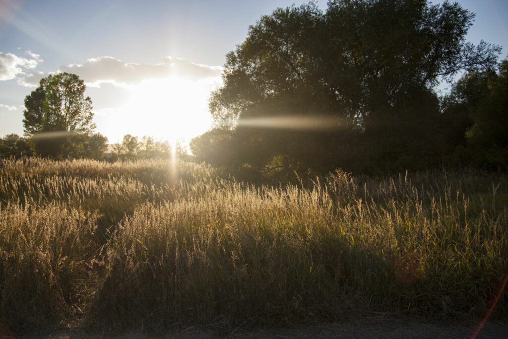 Lee Martinez Community Park | Cache la Poudre River National Heritage Area