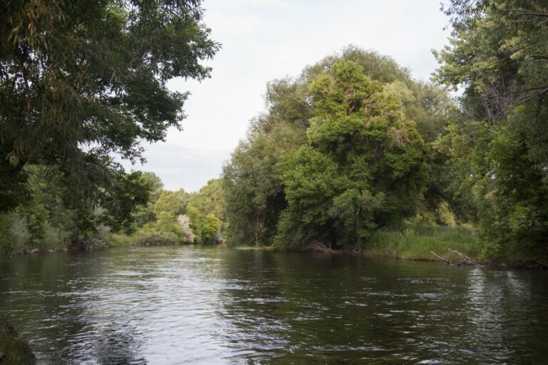 Scenic LegacyPark IMG 0056 2 768x512