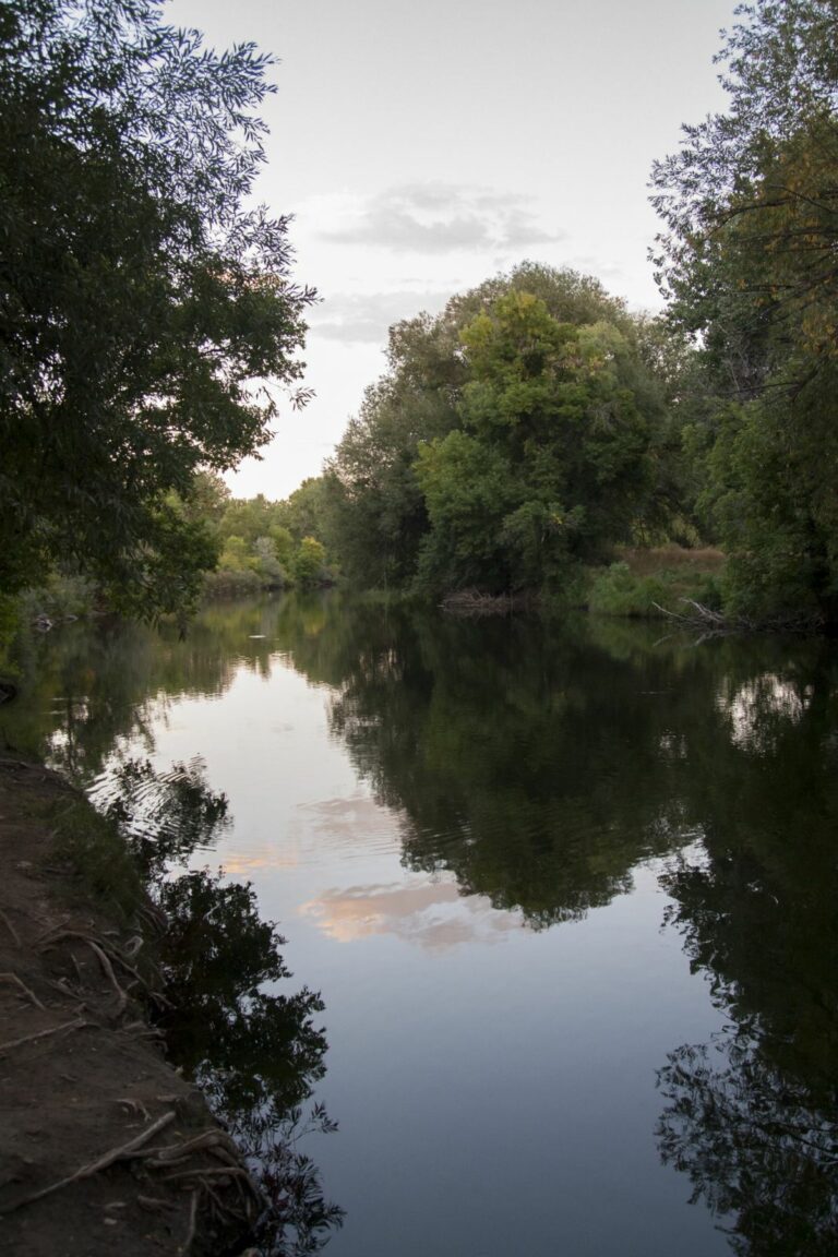 Scenic Legacy 7062 2 768x1152