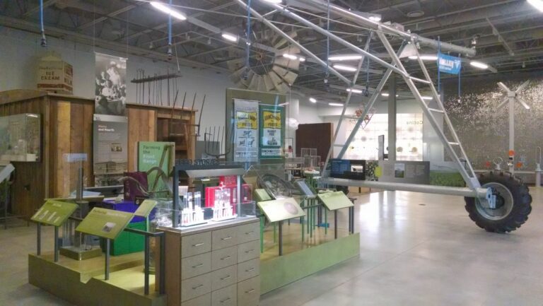 Seed Activity FCMoD 1 768x433