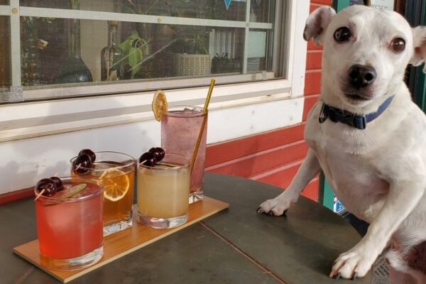 Syntax Distillery Patio