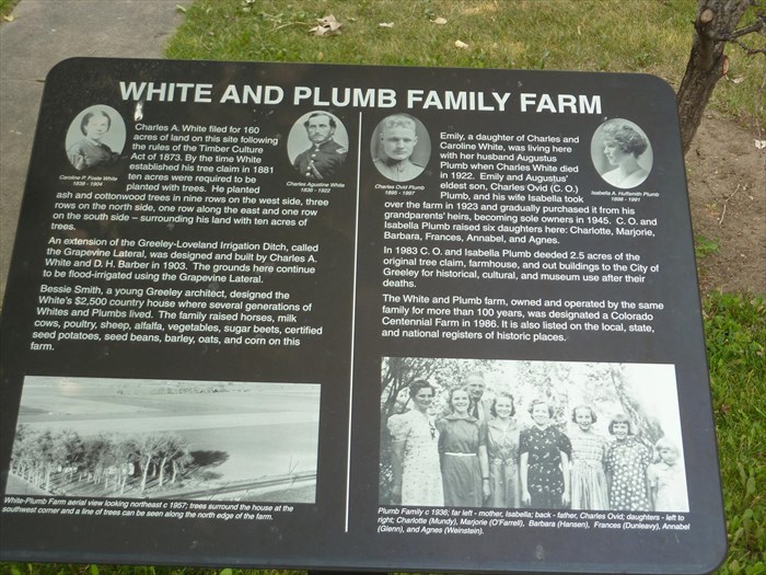 White Plumb plaque 2