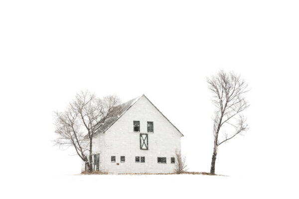 By Paul Avery | 3rd Place