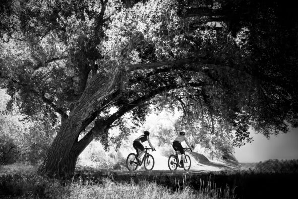 Best in Show | By Paul Avery