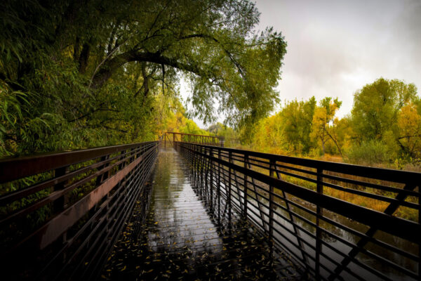 paul_avery_weather_3_A Rare Rainstorm over Butterfly Woods Open Spae